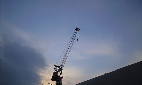 20200215_crane.jpg
