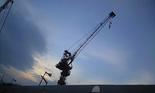 20200304_crane.jpg