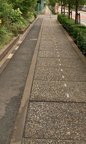 20220410_sidewalk.jpg