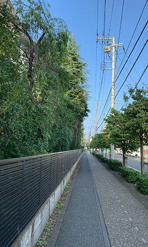 20220929_sidewalk.jpg