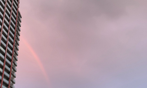 20230129_rainbow.jpg